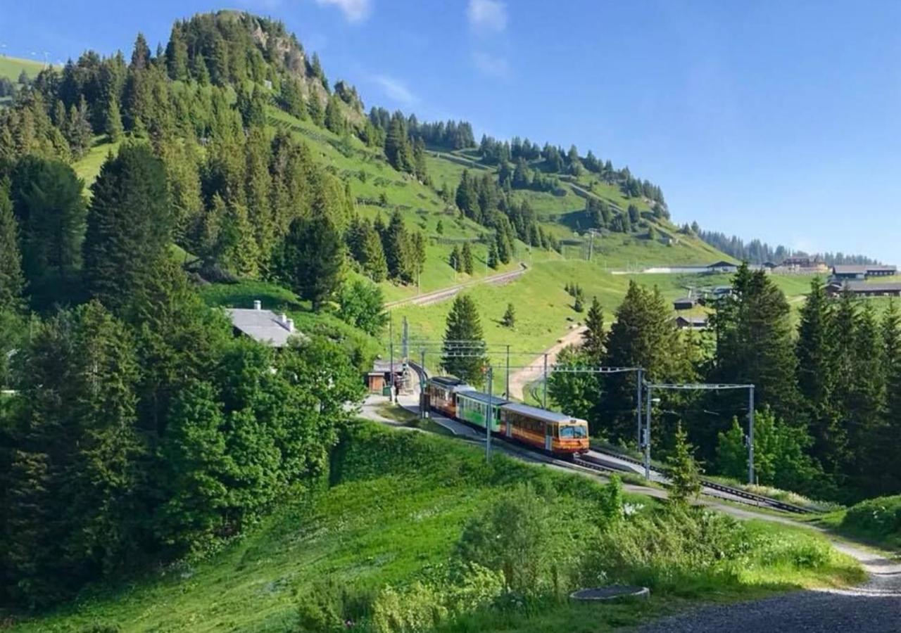 Maison De Montagne De Bretaye Acces Par Le Train Arret Bouquetin Villars-sur-Ollon Exteriér fotografie